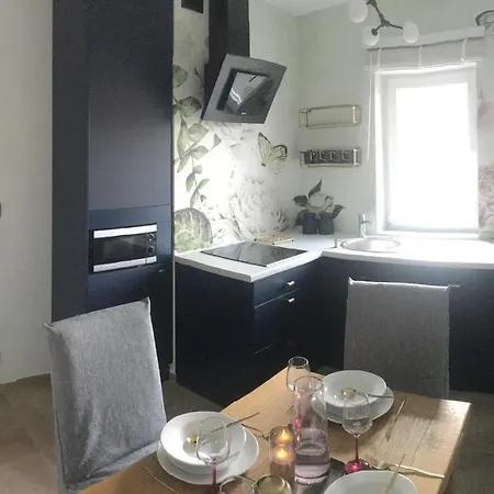 Apartment Apatramenty U Marka