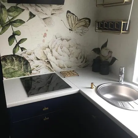 Apatramenty U Marka Apartment